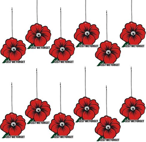 12 Pcs Veteran's Day Gifts American Flag Scented Ornament Automotive Air Fresheners Car Scented Hanging Ornaments for Women Men Veteran Holiday Christmas Tree Decoration Car Accessories in Kuwait