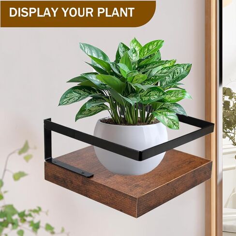 ARTORA Wall Mounted Plant Holder, Wooden Floating Shelf with Invisible Bracket Wall Mount Wood Rack Small Decorative Display Shelves with Gaurdrail for Bedroom Living Room Bathroom (Brown, 1 Pack) in Saudi Arabia