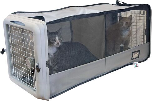 Sport Pet Small Pop Crate in Saudi Arabia