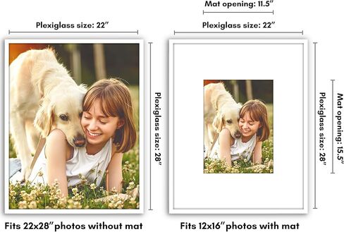 إطار ملصق Americanflat مقاس 22 × 28 مع زجاج شبكي مصقول - يُستخدم كإطار مقاس 12 × 16 مع حصيرة أو عرض صورة مقاس 22 × 28 بدون حصيرة - مجموعة مميزة - إطارات صور رفيعة لعرض الحائط - أبيض in Saudi Arabia
