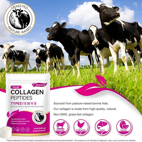 مسحوق ببتيدات الكولاجين المتعدد - الأنواع I، II، III، V، X - تغذية العشب، تربية المراعي - يدعم البشرة والشعر والأظافر والمفاصل - عديم النكهة، متحلل، سهل الخلط - غير معدّل وراثيًا، خالي من الغلوتين، خالي من منتجات الألبان in Kuwait