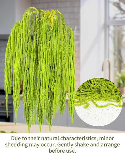 12Pcs Dried Amaranthus Hanging Flowers, 24 Inch Green Artificial Amaranthus Flowers for Wedding Arch, Floral Garland, Home Wall Decor, Preserved Natural Decorations in Saudi Arabia