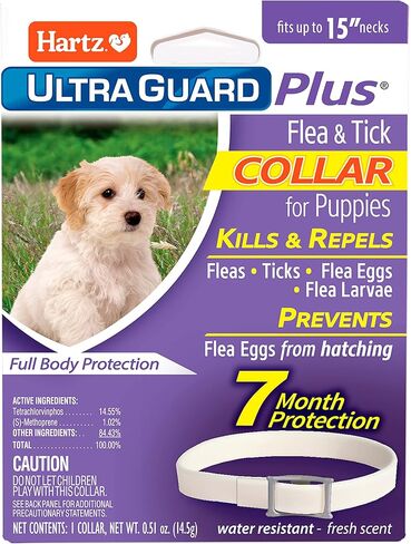 Hartz UltraGuard Plus Flea & Tick Collar for Dogs and Puppies, 7 Month Flea and Tick Prevention and Protection Per Collar, Reflective Orange, up to 22 Inch Neck in Saudi Arabia