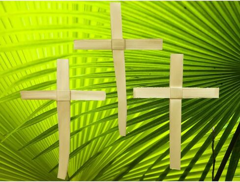 صليب النخيل من Palm Sunday - عبوة من 50 قطعة - بطول 9.5 سم in Saudi Arabia