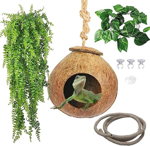 kathson Coconut Cave Reptile Hide,Hermit Crab Coconut Hut Small Reptile Jungle Vine Hermit Crabs Hideout Habitat Tank Accessories for Lizards Frogs Geckos Snakes in Kuwait