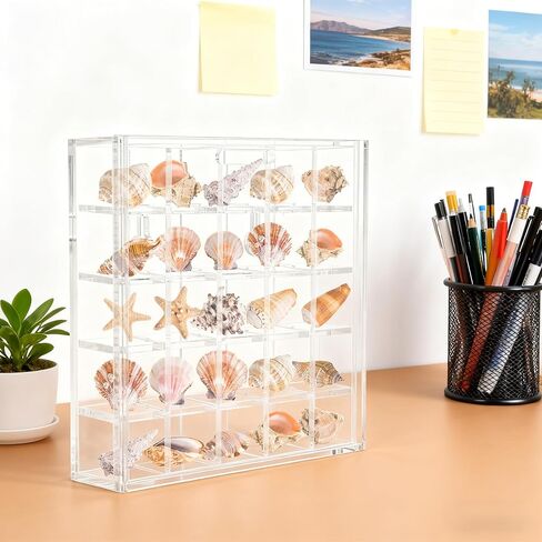 صندوق عرض صدف مقاس 5.1x5 بوصة يثبت على الحائط، حامل صدفة البحر الأكريليك 25 شبكة، علبة عرض صدف، شفاف in Kuwait