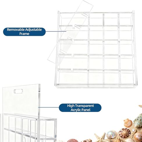 صندوق عرض صدف مقاس 5.1x5 بوصة يثبت على الحائط، حامل صدفة البحر الأكريليك 25 شبكة، علبة عرض صدف، شفاف in Kuwait