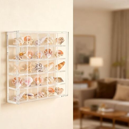 صندوق عرض صدف مقاس 5.1x5 بوصة يثبت على الحائط، حامل صدفة البحر الأكريليك 25 شبكة، علبة عرض صدف، شفاف in Kuwait