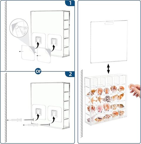 صندوق عرض صدف مقاس 5.1x5 بوصة يثبت على الحائط، حامل صدفة البحر الأكريليك 25 شبكة، علبة عرض صدف، شفاف in Kuwait