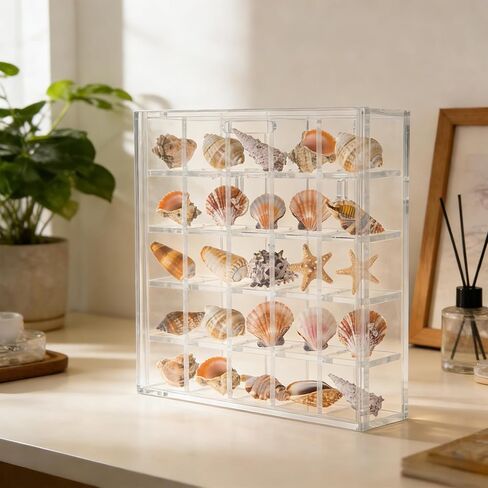 صندوق عرض صدف مقاس 5.1x5 بوصة يثبت على الحائط، حامل صدفة البحر الأكريليك 25 شبكة، علبة عرض صدف، شفاف in Kuwait