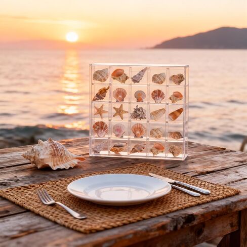 صندوق عرض صدف مقاس 5.1x5 بوصة يثبت على الحائط، حامل صدفة البحر الأكريليك 25 شبكة، علبة عرض صدف، شفاف in Kuwait