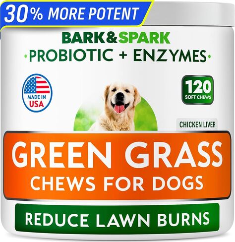 Dog Probiotic Chews - Gas, Diarrhea, Allergies - Enzymes + Prebiotics - Chewable Fiber - Digestion, Immunity - USA Made - 90 Ct - ChickenLiver in Kuwait