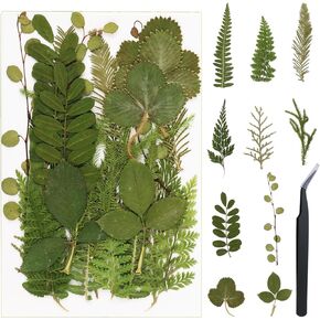 380PCS Dried Pressed Flowers for Resin Craft - Real Natural Pressing Flowers with Two Sheets Butterfly Stikers for Mold DIY Art Crafts,Home Décor,Cherish (380pcs Color Mixed) in Kuwait