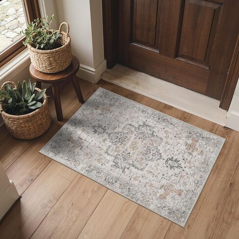 Area Rug 2x3 Doormat, Machine Washable Low Pile Rugs, Small Retro Entryway Mat for Entrance, Hallway, Kitchen and Corridor, Light Taupe Brown in Saudi Arabia