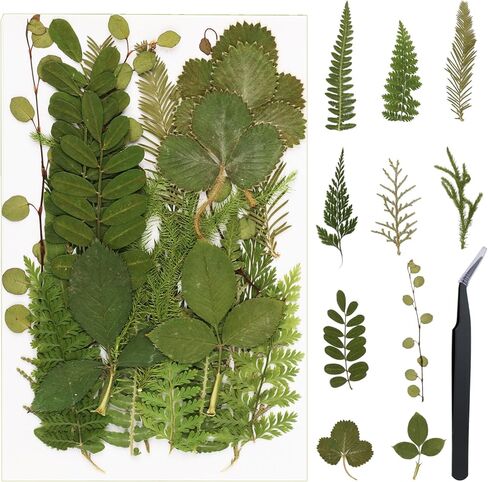 380PCS Dried Pressed Flowers for Resin Craft - Real Natural Pressing Flowers with Two Sheets Butterfly Stikers for Mold DIY Art Crafts,Home Décor,Cherish (380pcs Color Mixed) in Kuwait