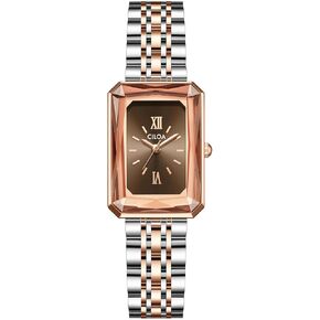 CILOA Gold Watches for Women with Vintage Rectangular Case, Brown Roman Dial, Two-Tone Stainless Steel Watch Band, Water Resistant, Adjustment Tool Included in Saudi Arabia