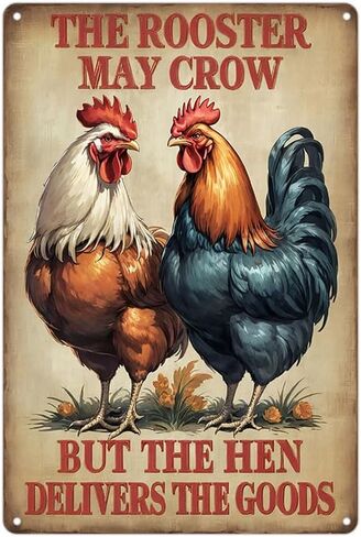 FunnySign Rooster Décor Relax We're All Crazy It's Not Competition Rustic Tin Sign For Home Farm Chicken Coop Decor 8x12 Inch (9709) in Kuwait