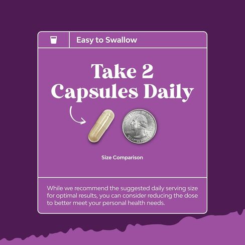 Complete Perimenopause Supplement for Women - Multibenefit Menopause Ease for Women with Maca Root Vitex Berry & Black Cohosh for Hot Flashes Night Sweats Hormone Balance and Mood Support (1 Month) in Saudi Arabia