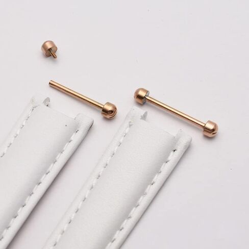 2 Pcs/Pack Watch Strap Screw Pins Connection Rod Lug Pins Band Connect Link Rod 16mm 18mm 20mm 22mm Clasp Buckle Friction Tube Band Strap Connect Pin Smartwatch Stem Link Attachment in Kuwait