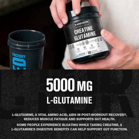 Jacked Factory Creatine + Glutamine - Creatine Supplement with L-Glutamine for Muscle Recovery, Muscle Growth, Increased Strength, Enhanced Energy Output, and Gut Health - 30 Servings, Blue Raspberry in Saudi Arabia