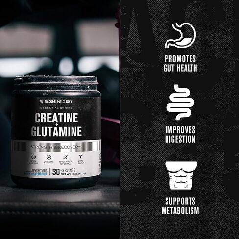 Jacked Factory Creatine + Glutamine - Creatine Supplement with L-Glutamine for Muscle Recovery, Muscle Growth, Increased Strength, Enhanced Energy Output, and Gut Health - 30 Servings, Blue Raspberry in Saudi Arabia
