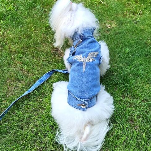 Dog Harness Jacket, Dog Denim Jacket, Luxury Dog Clothes, Swarovski Stone Back Design Dog Clothes, ropa para Perros pequenos, XXS Dog Clothes, Dog Jeans, Teacup Dog Clothes, Blue Jean pet Clothes in Saudi Arabia