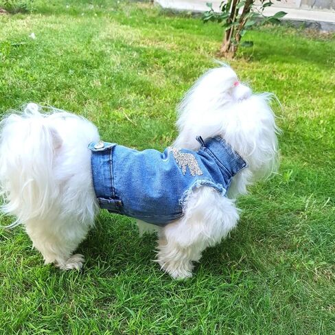 Dog Harness Jacket, Dog Denim Jacket, Luxury Dog Clothes, Swarovski Stone Back Design Dog Clothes, ropa para Perros pequenos, XXS Dog Clothes, Dog Jeans, Teacup Dog Clothes, Blue Jean pet Clothes in Saudi Arabia