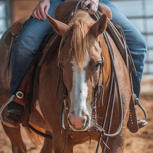Martin Saddlery Reins Doubled Stitched Split Broke in Feel SR58LATDS in Saudi Arabia