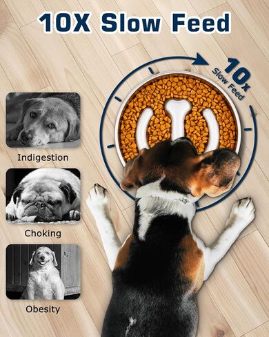 Petbank Dog Slow Feeder Bowl Stainless Steel - 900ML (3-4 Cups) Anti-Slip Metal Slow Feeder Dog Bowls Double-Sided for Small Medium Large Breeds, Dog Food Bowls Suitable for Dry, Wet Food in Kuwait