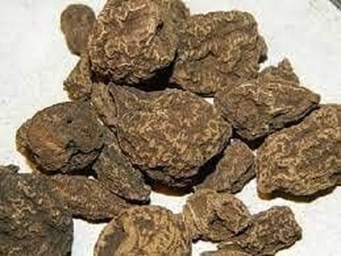 1 أونصة عالية من جذور جون الفاتح - ويكا باغان كوريو ماجيك - إيبومويا جالابا - سحر، تعويذات، رسم الحظ، الحب، النجاح in Saudi Arabia