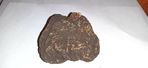 1 أونصة عالية من جذور جون الفاتح - ويكا باغان كوريو ماجيك - إيبومويا جالابا - سحر، تعويذات، رسم الحظ، الحب، النجاح in Saudi Arabia