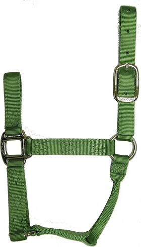 رسن عالي الجودة من النايلون مقاس 1 بوصة من هاميلتون لحصان بوزن 500 إلى 800 رطل، صغير، وردي فاقع in Kuwait