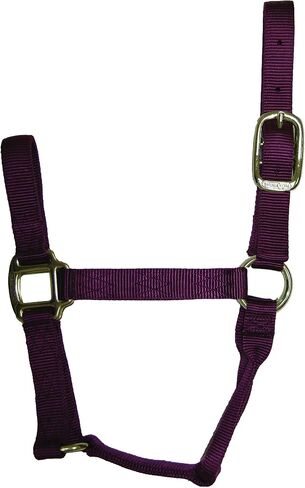Hamilton 1-Inch Nylon Quality Halter for 800 to 1100-Pound Horse, Average, Brown in Saudi Arabia