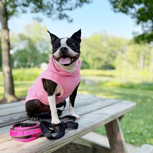 Gooby Fleece Vest Hoodie Dog Sweater - Pink, Large - Warm Pullover Dog Hoodie with O-Ring Leash - Winter Hooded Small Dog Sweater - Dog Clothes for Small Dogs Boy or Girl, and Medium Dogs in Saudi Arabia