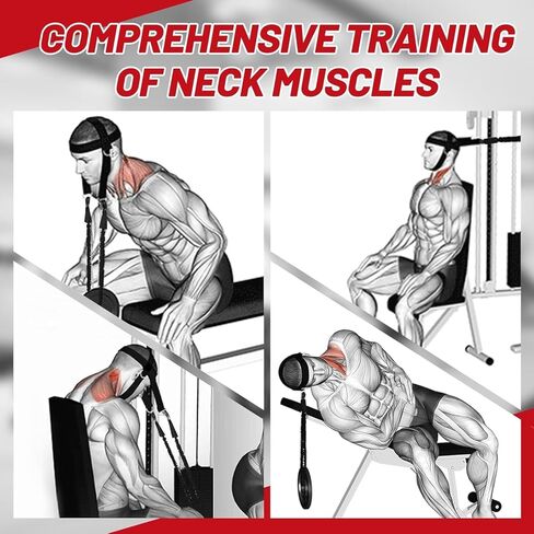 سرج الرقبة من جافيك لزيادة قوة الرقبة الأساسية - تمرين الرقبة مع سلسلة فولاذية شديدة التحمل مقاس 30 بوصة لرفع الأوزان بأمان يصل إلى 280 رطل، رأس قابل للتعديل مع حبل من النايلون وحلقتين تسلق in Kuwait