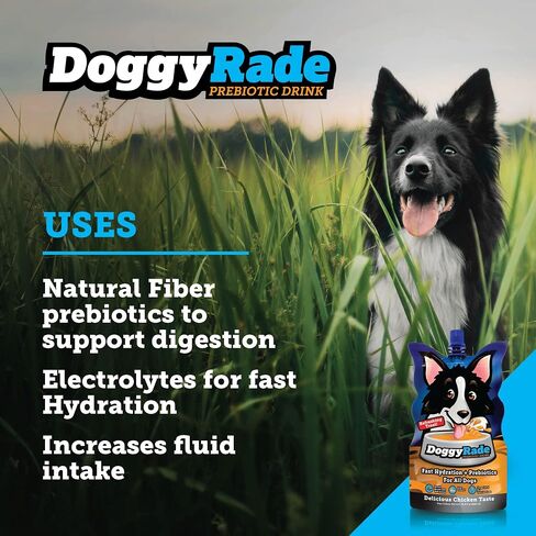 DoggyRade – Dog Sports Drink (Prebiotic, Isotonic Drink for Dogs) | Electrolytes, Nutrients & Amino Acids | Quick Hydration Drink for Dogs + Low Calorie | More Than Just Water! | Chicken | 500ml x 6 in Saudi Arabia
