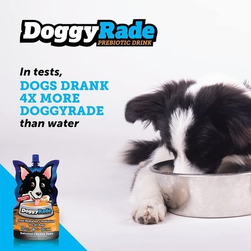 DoggyRade – Dog Sports Drink (Prebiotic, Isotonic Drink for Dogs) | Electrolytes, Nutrients & Amino Acids | Quick Hydration Drink for Dogs + Low Calorie | More Than Just Water! | Chicken | 500ml x 6 in Saudi Arabia