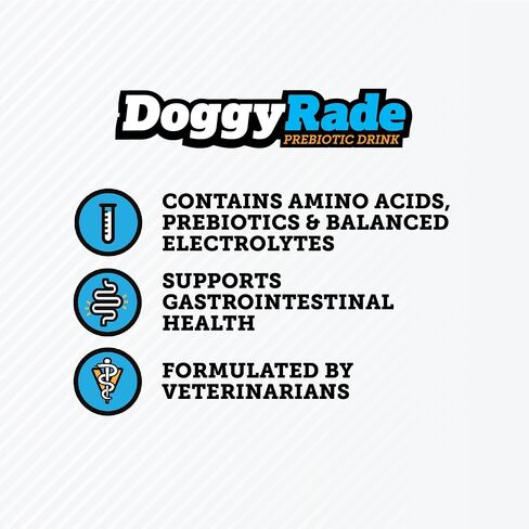 DoggyRade – Dog Sports Drink (Prebiotic, Isotonic Drink for Dogs) | Electrolytes, Nutrients & Amino Acids | Quick Hydration Drink for Dogs + Low Calorie | More Than Just Water! | Chicken | 500ml x 6 in Saudi Arabia