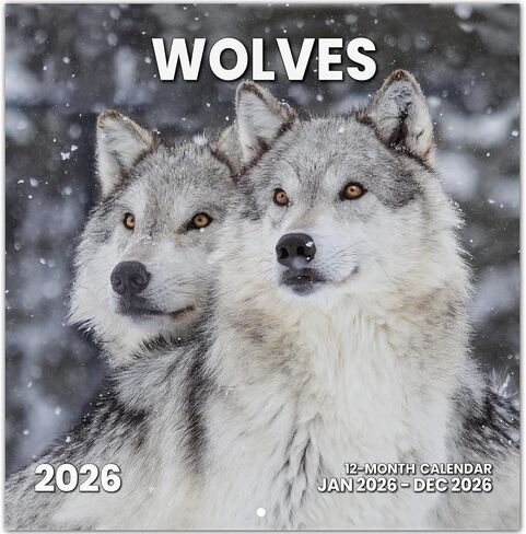 2025 تقويم الحائط - 18 شهرًا يغطى تقويم الحائط من يناير 2025 إلى يونيو 2026 ، التقويم الشهري (14.7 "x11.5") ، تقويم الجدار المعلق لسهولة التنظيم ، الموسمية in Saudi Arabia