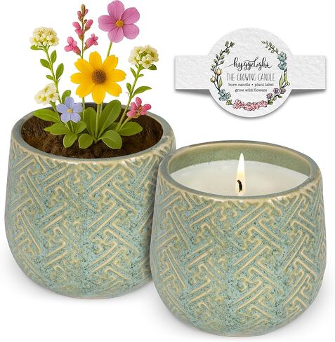 Hyggelight - The Growing Candle, Chai Scented, 8oz Ceramic Pot, Aromatherapy Candles for Home, 100% Soy, Adelyn in Saudi Arabia
