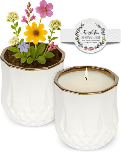 Hyggelight - The Growing Candle, Chai Scented, 8oz Ceramic Pot, Aromatherapy Candles for Home, 100% Soy, Adelyn in Saudi Arabia