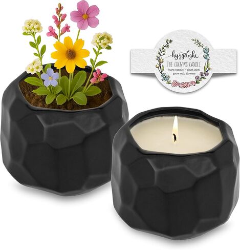 Hyggelight - The Growing Candle, Chai Scented, 8oz Ceramic Pot, Aromatherapy Candles for Home, 100% Soy, Adelyn in Saudi Arabia