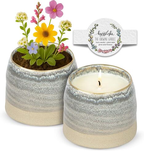 Hyggelight - The Growing Candle, Chai Scented, 8oz Ceramic Pot, Aromatherapy Candles for Home, 100% Soy, Adelyn in Saudi Arabia