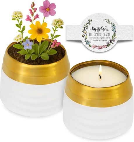 Hyggelight - The Growing Candle, Chai Scented, 8oz Ceramic Pot, Aromatherapy Candles for Home, 100% Soy, Adelyn in Saudi Arabia
