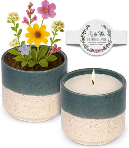 Hyggelight - The Growing Candle, Chai Scented, 8oz Ceramic Pot, Aromatherapy Candles for Home, 100% Soy, Adelyn in Saudi Arabia