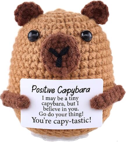 Emotional Support Capybara Positive Crochet Plush with Positive Messages for Adult Women Cute Pickle Office Decor Birthday Gifts for Best Friends (Capybara) in Saudi Arabia