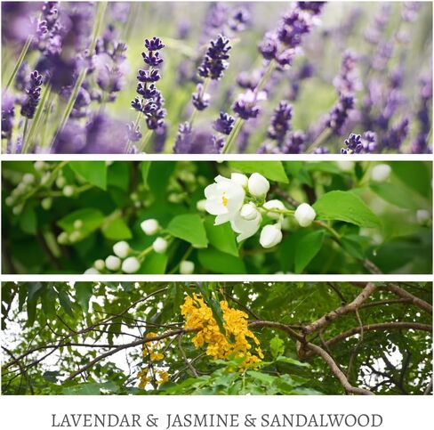 Candle 4 Pack Gift Set for Women&Men, 30 oz 240 Hour Long Lasting,Lavendar Jasmine Sandalwood Soy Candles, Aromatherapy Candles for Home Relaxation | Stress Relief | Meditation | Yoga | SPA in Saudi Arabia