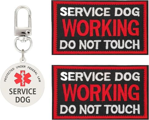 Service Dog in Training Patch, in Training Tags, Removable to Collar, Harness (Medium 1.50 x 5.12) in Saudi Arabia