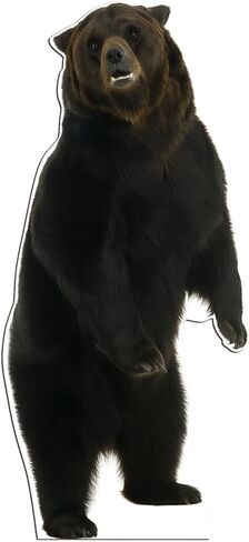 5.2 Ft Life Size Brown Bear Cardboard Standup Large Animal Cutout Stand for Brown Bear Farm Birthday Party Photos Props Decoration in Saudi Arabia