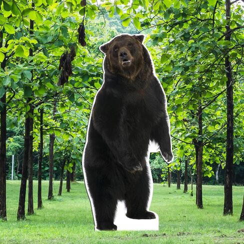 5.2 Ft Life Size Brown Bear Cardboard Standup Large Animal Cutout Stand for Brown Bear Farm Birthday Party Photos Props Decoration in Saudi Arabia